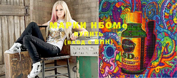 ПСИЛОЦИБИНОВЫЕ ГРИБЫ Томск
