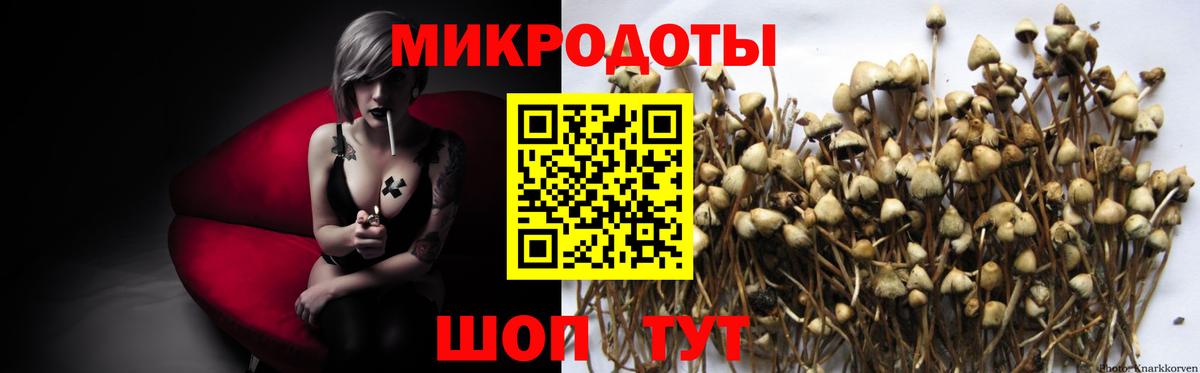 Псилоцибиновые грибы GOLDEN TEACHER Сыктывкар